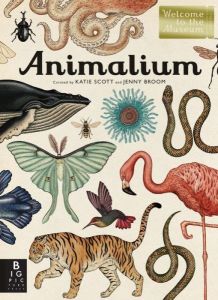 Animalium by Katie Scott & Jenny Broom