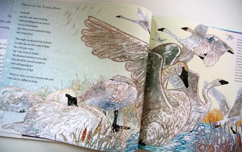 "Winter Bees" by Joyce Sidman & Rick Allen