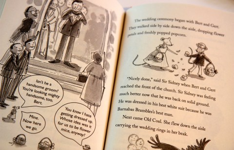 "Three-Ring Rascals: The Circus Goes to Sea" by Kate Klise