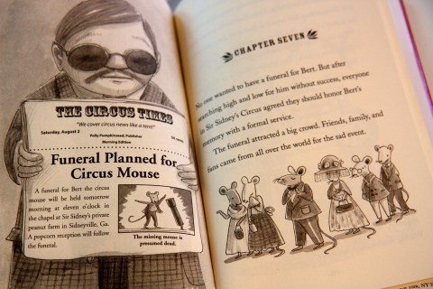 "Three-Ring Rascals: Pop Goes the Circus" by Kate Klise