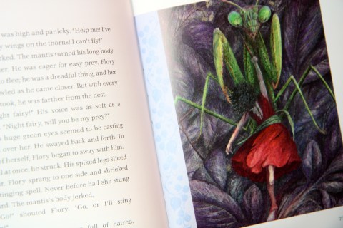 "The Night Fairy," by Laura Amy Schlitz