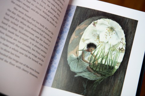 "The Night Fairy" by Laura Amy Schlitz