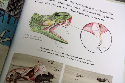 "I (Don't) Like Snakes" by Nicola Davies