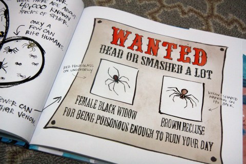 "I'm Trying to Love Spiders" by Bethany Barton