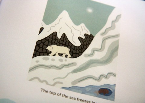 "Nanuk: The Ice Bear" by Jeanette Winter