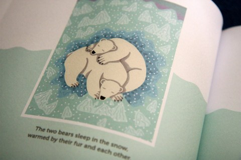 "Nanuk: The Ice Bear" by Jeanette Winter