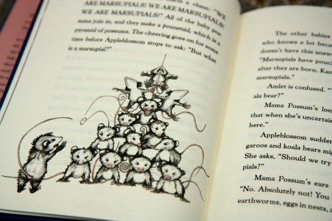 "Appleblossom the Possum" by Holly Goldberg Sloan & Gary A. Rosen