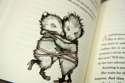 "Appleblossom the Possum" by Holly Goldberg Sloan & Gary A. Rosen