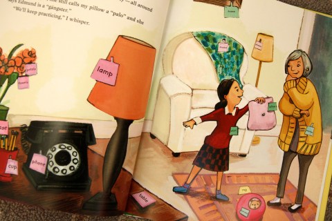 "Mango, Abuela and Me" by Meg Medina & Angela Dominguez