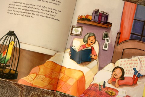 "Mango, Abuela & Me" by Meg Medina & Angela Dominguez