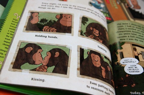 "I am Jane Goodall" by Brad Meltzer & Christopher Eliopoulos