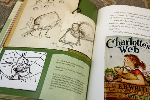 "Some Writer! The Story of E.B. White" by Melissa Sweet