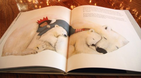 "The Polar Bear" by Jenni Desmond