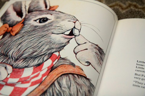 "Little Rabbit's Loose Tooth" by Lucy Bate & Diane de Groat