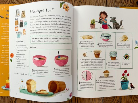 2023 Gift Guide: Browsable Non-Fiction & Novelty Books for Ages 2-15 ...